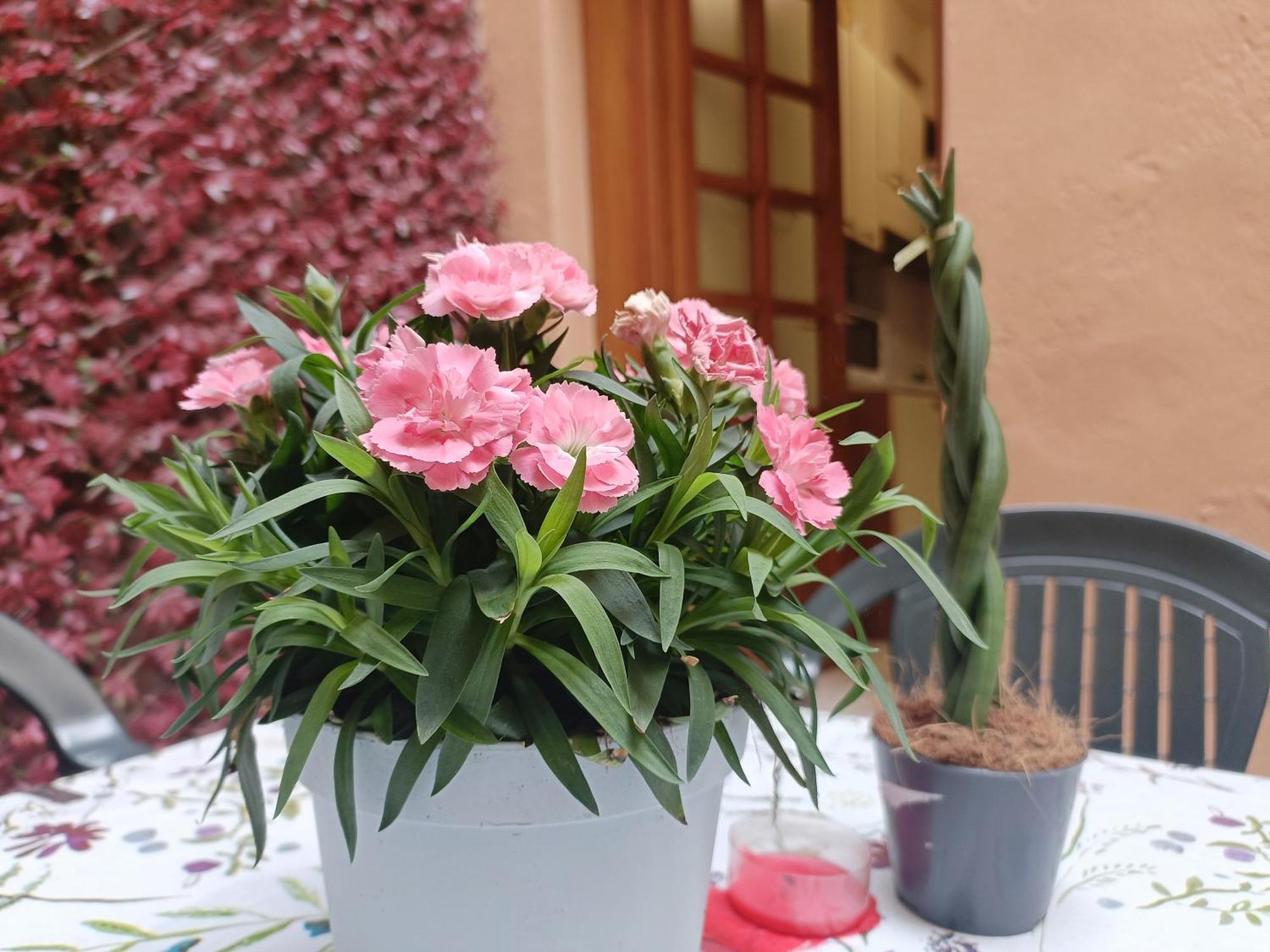 Apartamento Il Giardino Segreto Lucca Exterior foto